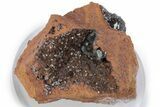 Gemmy Adamite Crystals on Matrix - Ojuela Mine, Mexico #219845-1